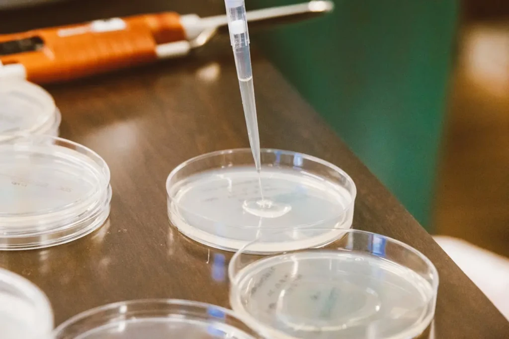 pexels-jess-vide-9259965